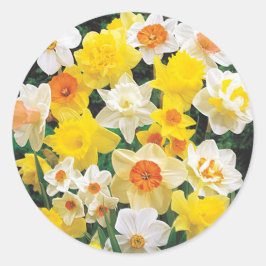 Redondo Narcisos Sinal da Primavera Envelope Selo Adesivo