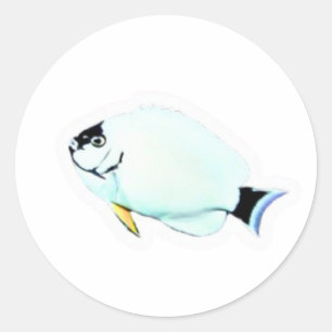 Redondo ​Peixe-Anjo Elegante Disfarçado Adesivo Recortado