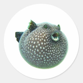 Redondo Peixe-Bola Manchado Divertido Adesivo - Peixe-Bola