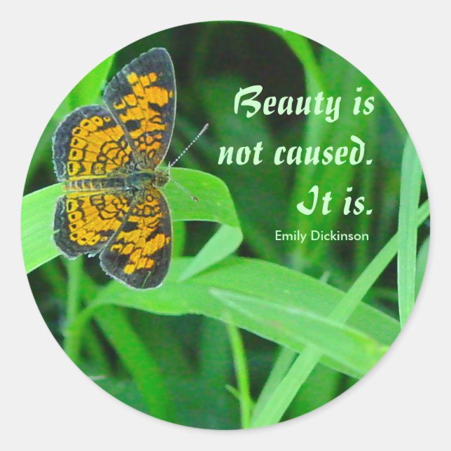 Redondo Pequeno Adesivo de Borboleta (Frente)