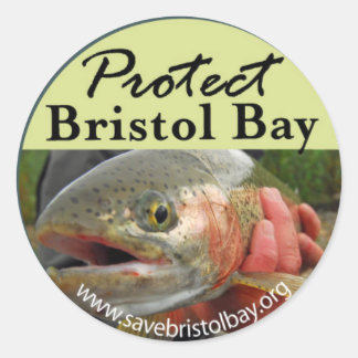 Redondo Proteja o adesivo do compartimento do Bristol