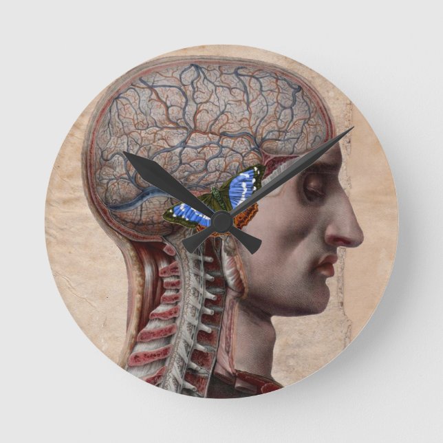 Redondo Relógio de Anatomia da Cabeça (Frente)