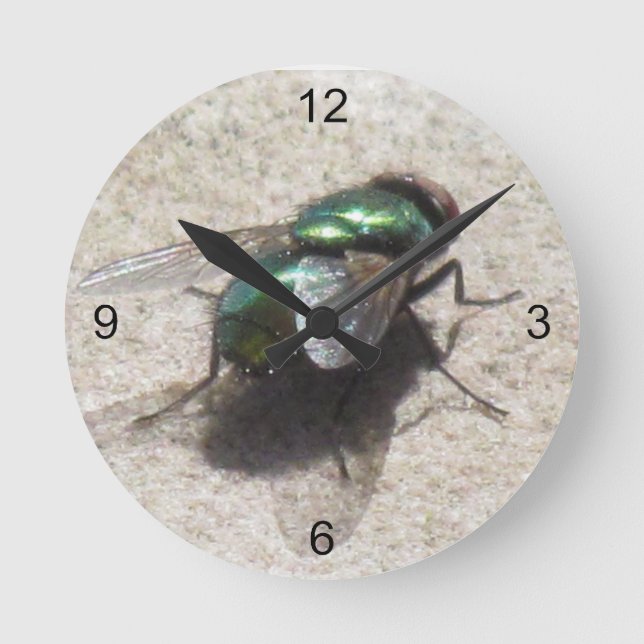 Redondo Relógio - Moscas de Tempo (Frente)