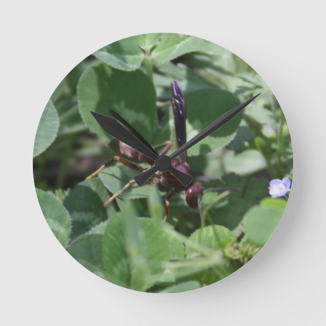 Redondo Relógio Wasp (Frente)