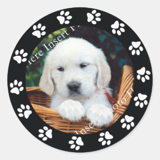 Redondo Rótulo do adesivo Pet Puppy Dog Paw Print Border F