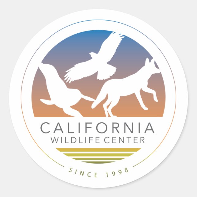 Redondo Seis adesivo do logotipo CWC (Frente)