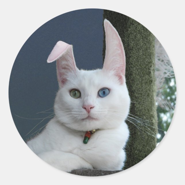 Redondo Serenidade como adesivo coelho (Frente)