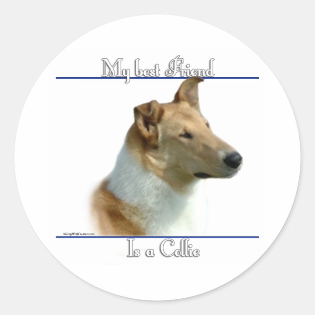Redondo Suave Collie Melhor Amigo 2 - Adesivo (Frente)
