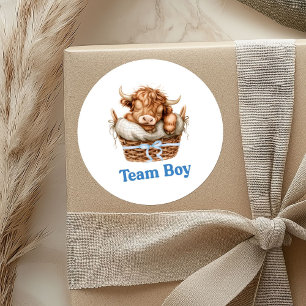 Redondo Touro de pré-disquete ou adesivo do Heifer