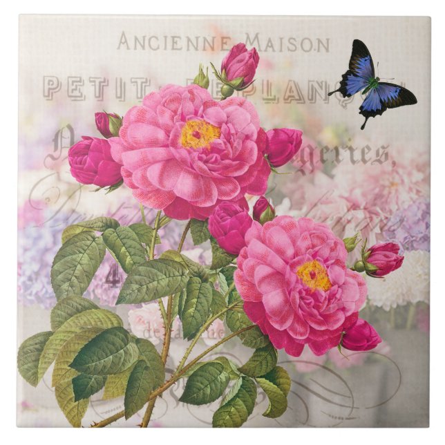 Redouta de Azulejo cerâmico de rosas rosa francesa (Frente)