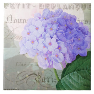 Redouta Hydrangea Azulejo cerâmico francês acento