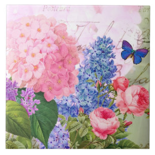 Redoute floresce o azulejo cor-de-rosa do