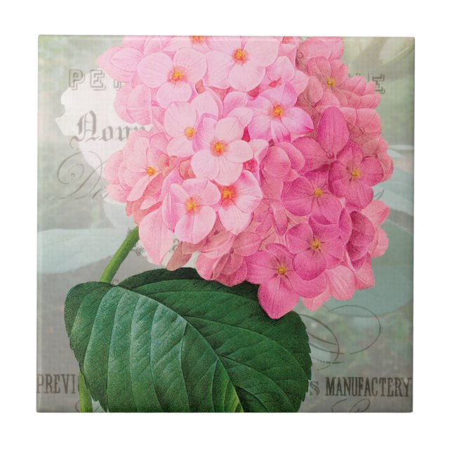 Reduzir Azulejo cerâmico Rosa Hydrangea (Frente)