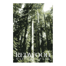 Redwood Poster, Impressão do Parque Nacional