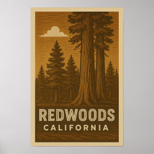 Redwoods National Park Poster da Califórnia