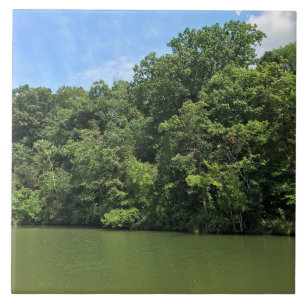 Reed Creek, Wytheville, Virgínia