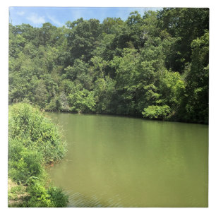 Reed Creek, Wytheville, Virgínia