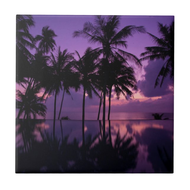 Reflexão da palmeira (Frente)