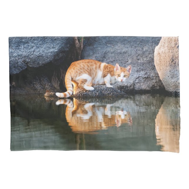 Reflexão de Gato em Foto de Água de Pond - (Frente)