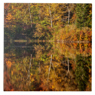 Reflexão de outono no Coffin Pond