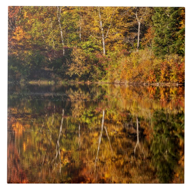 Reflexão de outono no Coffin Pond (Frente)