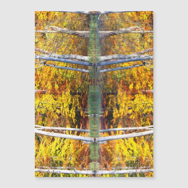 Reflexão do outono (Frente)