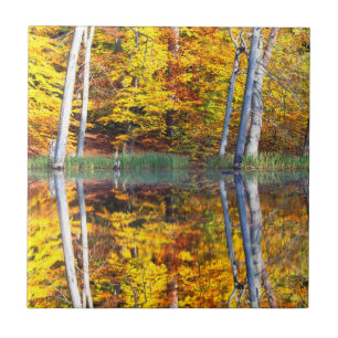 Reflexão do outono