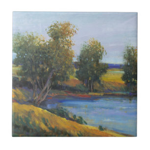 Reflexão II da árvore