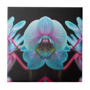 Reflexão Orquídea Azul Exótica