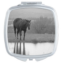 Reflexão Silenciosa ~ Espelho Compacto Horso