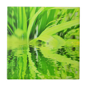 Reflexão sobre Grama Verde Brilhante Super Positi