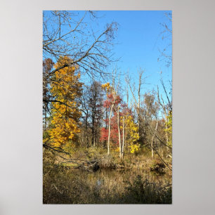 Reflexões do Autum no Creek Poster