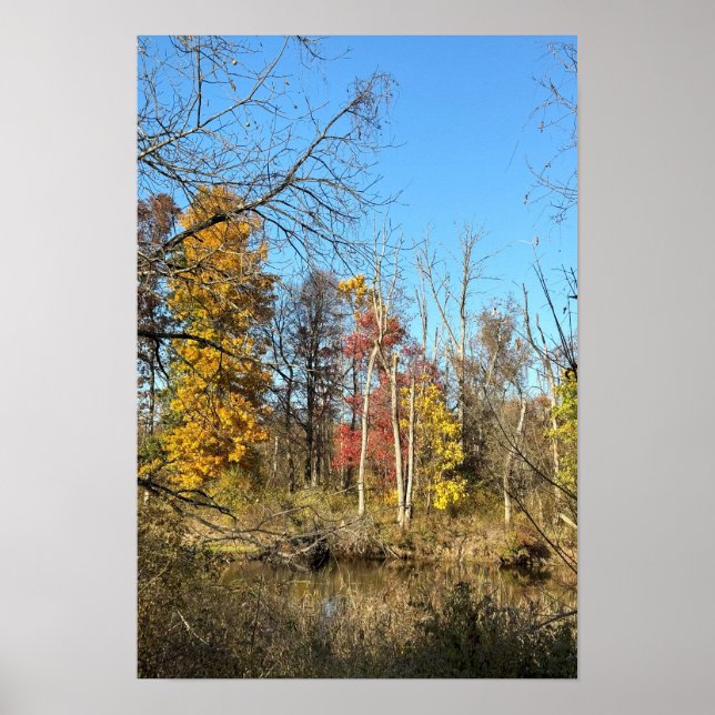 Reflexões do Autum no Creek Poster (Frente)