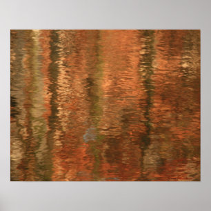 Reflexões fluviais 2 Poster