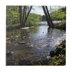 Reflexões II
