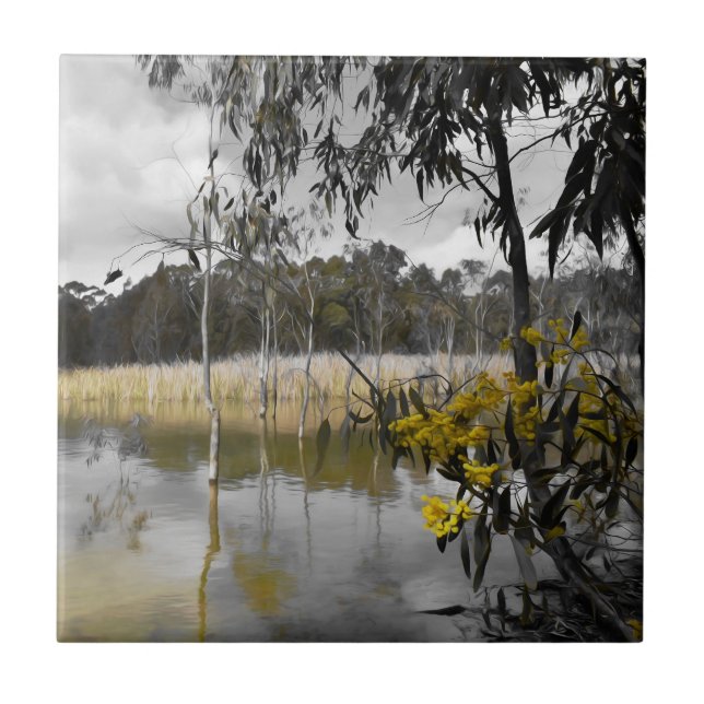 Reflexões Por Baixo Do Céu Da Cinza (Frente)