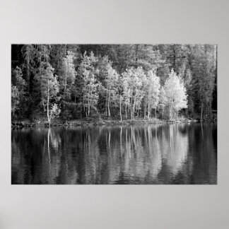 Reflexões Poster