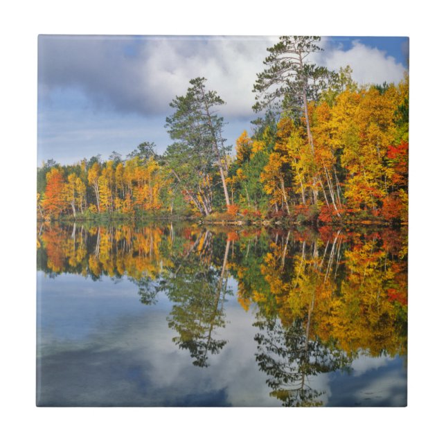 Reflexos do lago de outono, Maine (Frente)