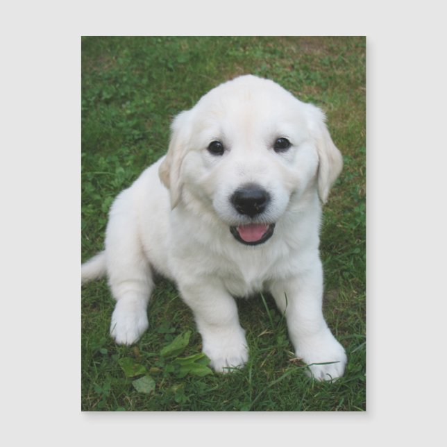 Refrigerador de Fotos Personalizado Simples Modern (Frente)