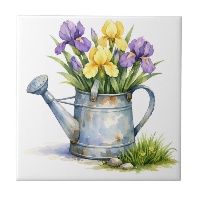 Regador de Aquarela com Flores de Íris (Frente)