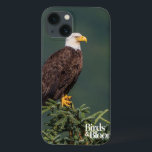 Regal Bald Eagle<br><div class="desc">Águia caída parecendo real e empoleirada em cima de Evergreens. Foto enviada por um leitor de Birds & Blooms. Birds & Blooms é a revista nº 1 de pássaros e jardins na América do Norte. Orgulhamo-nos em celebrar o cobrir da "beleza no seu próprio quintal" uma vasta gama de tópicos,...</div>