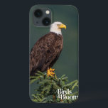 Regal Bald Eagle<br><div class="desc">Águia caída parecendo real e empoleirada em cima de Evergreens. Foto enviada por um leitor de Birds & Blooms. Birds & Blooms é a revista nº 1 de pássaros e jardins na América do Norte. Orgulhamo-nos em celebrar o cobrir da "beleza no seu próprio quintal" uma vasta gama de tópicos,...</div>