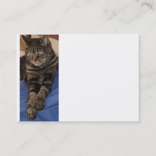 Regal Dave Chubby Cartão de visita