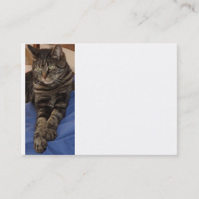 Regal Dave Chubby Cartão de visita (Frente)