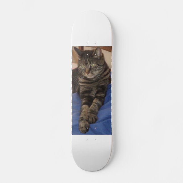 Regal Dave Skateboard (Frente)