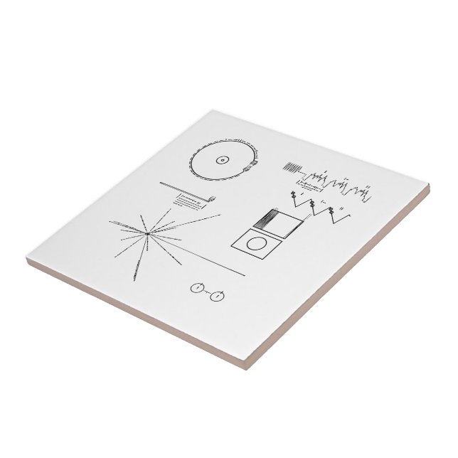 Registro dourado do explorador da NASA (Lateral)