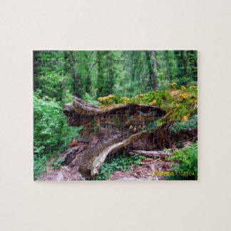 Registro oco com quebra-cabeça das casas