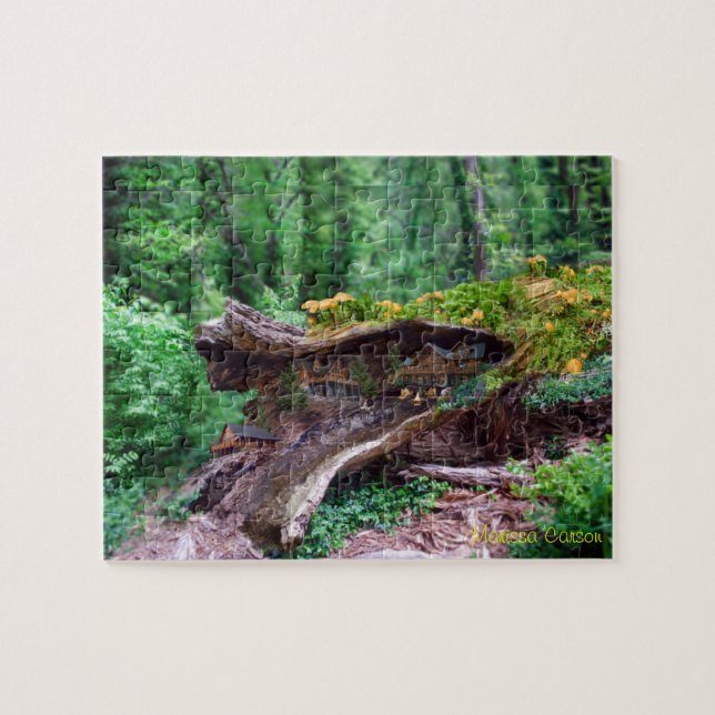 Registro oco com quebra-cabeça das casas (Horizontal)