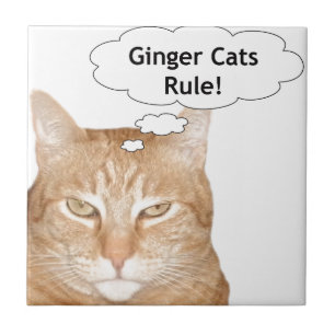 Regra dos gatos do gengibre