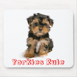 Regra Yorkshire Terrier Puppy Dog Mousepad